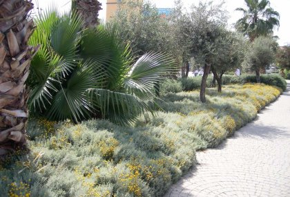 FORUM MERSİN